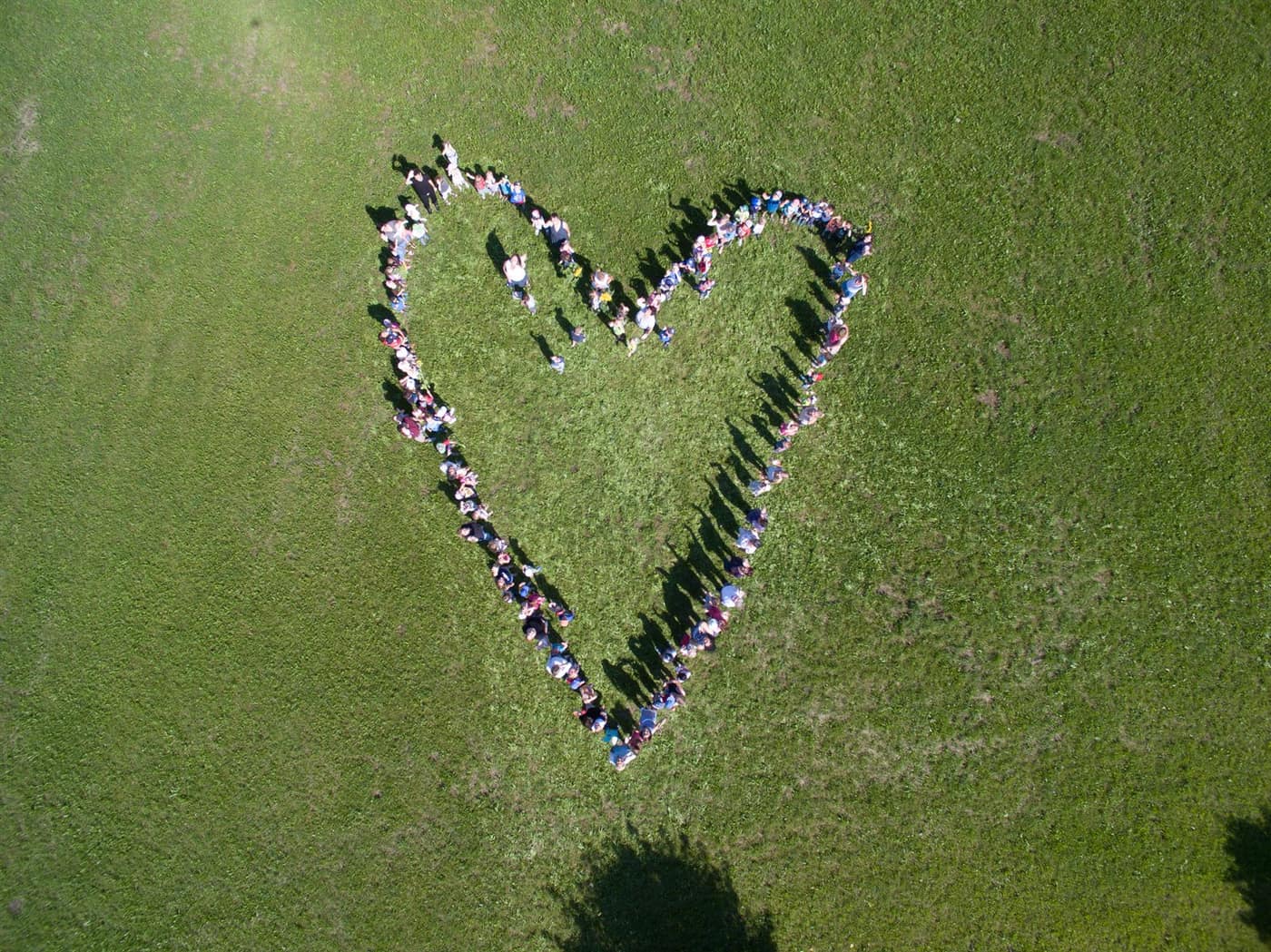 Kinder und Jugendliche bilden gemeinsam ein Herz auf einer Wiese